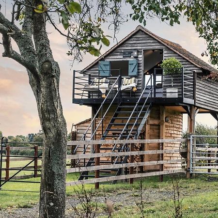 The Treehouse At Humblebee Hall 伍斯特 外观 照片